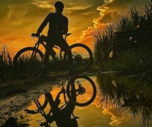 Aposta de manera Segura...! Las apuestas deportivas conectan la pasión por el deporte con la posibilidad de participación activa, incentivando el seguimiento de eventos, la estrategia y el análisis, al mismo tiempo que generan actividad económica y entretenimiento para aficionados.