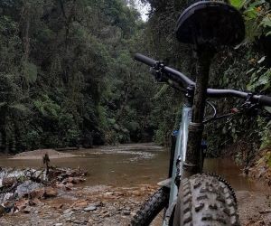 Cómo elegir el mejor sillín de bicicleta