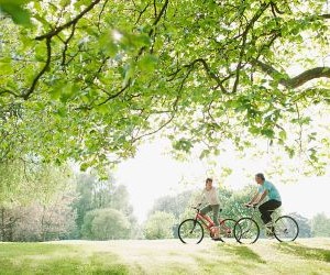 Las rutas de ciclismo, viajes, destinos y cicloturismo permiten a los ciclistas explorar nuevos lugares de manera segura, combinando ejercicio, aventura y disfrute cultural, fomentando la actividad física, la planificación responsable y experiencias enriquecedoras dentro del deporte.