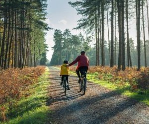 Rutas en bici para recorrer David
