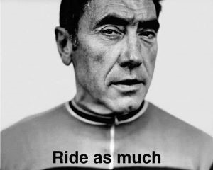En el ciclismo de competicion, las estrategias de carrera son esenciales porque combinan habilidad, resistencia y táctica, permiten medir el rendimiento frente a otros, fomentan la superación personal y colectiva, y promueven el interés, la disciplina y la evolución del deporte a nivel profesional y amateur.