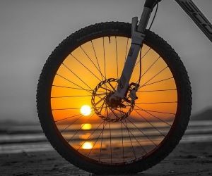 Novedades del ciclismo mantienen a aficionados, atletas y profesionales al tanto de competencias, innovaciones en equipamiento y cambios en reglas o equipos, fomentando el interés, la participación y el crecimiento del deporte a nivel global. Mantenete al dia con nuestra pasion por el ciclismo...!