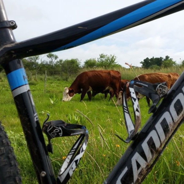 Hardtail vs. doble suspensión: cuál elegir